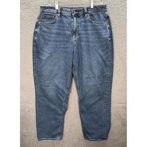 American Eagle Outfitters High-Rise Blue Jeans